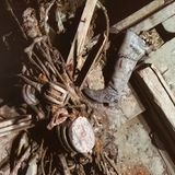 Diesen Stiefel trug Frank Wild, Shackletons Erster Offizier, vermuten die Forschenden.