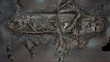 Ein vollständiger 3-D-Scan der "Endurance"