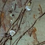 Teller auf dem Schiffswrack der "Endurance"