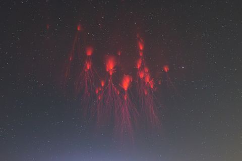 Sprites, auch Rote Kobolde genannt, über dem Nachhimmel Shanghais