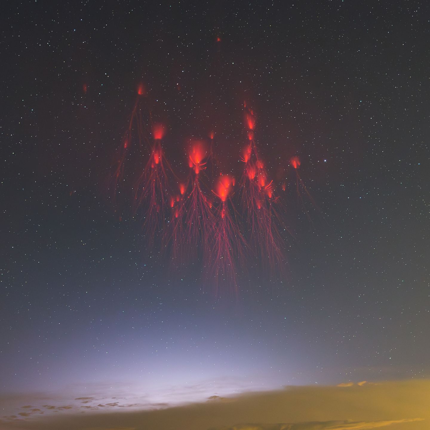 Sprites, auch Rote Kobolde genannt, über dem Nachhimmel Shanghais