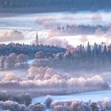 Raureif im Derwent Valley