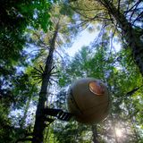 Free Spirit Spheres, a popular alternative night stays while visiting the Central Vancouver Area. near Errington and Qua