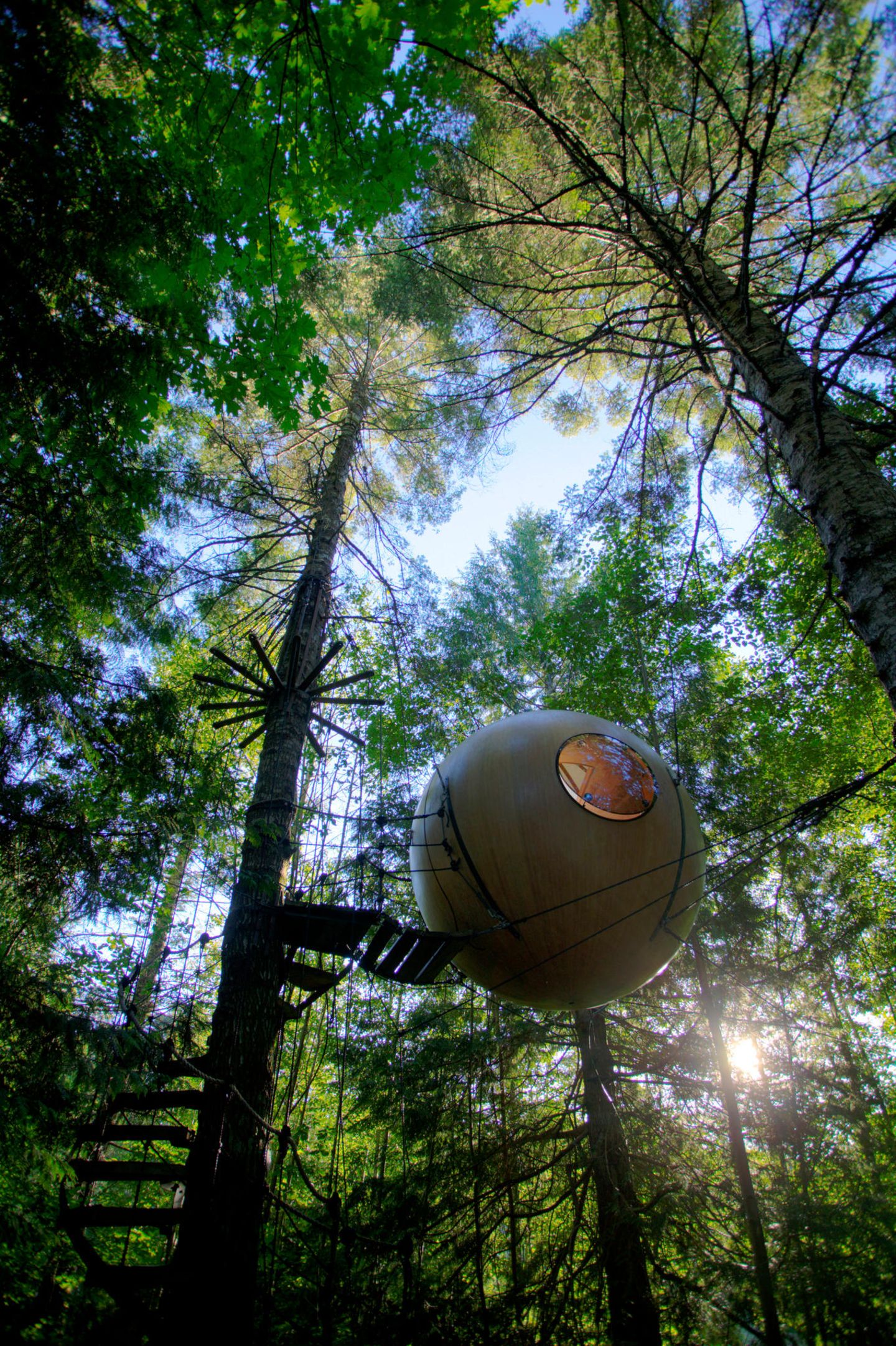 Free Spirit Spheres, a popular alternative night stays while visiting the Central Vancouver Area. near Errington and Qua