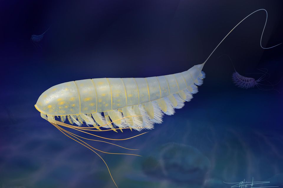 Die höchsten Gipfel Deutschlands je Bundesland [GEO]