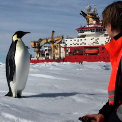 Antarktis-Expedition: "Sie sagten: Wir nehmen keine Frauen" – auf letzter Fahrt mit einer großen Polarforscherin