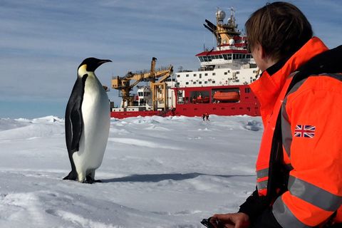 Antarktis-Expedition: "Sie sagten: Wir nehmen keine Frauen" – auf letzter Fahrt mit einer großen Polarforscherin