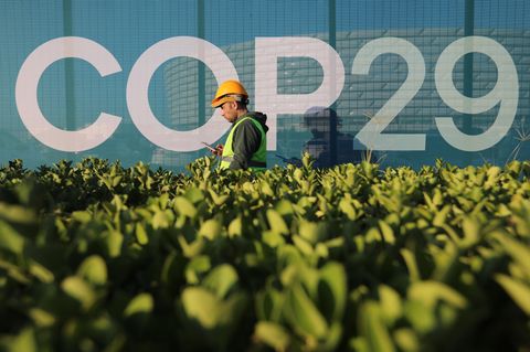 Der Gastgeber der COP29-Konferenz versucht sich ein positives, grünes Image zu geben – mit Fake Accounts in den sozialen Medien