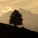 Berglandschaft auf der ein Mann mit seinem Hund als Schattenriss steht