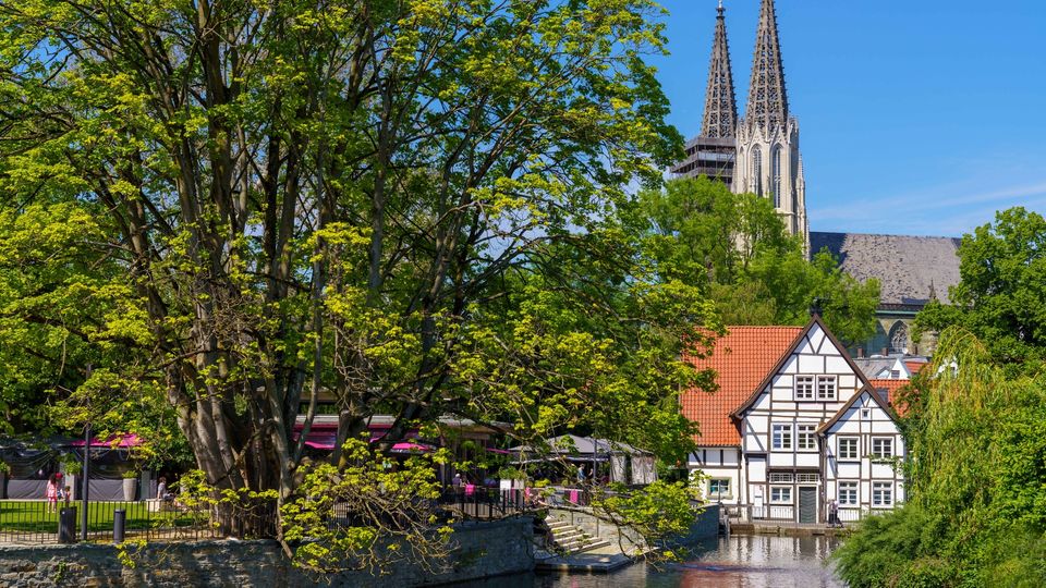 Großer Teich Soest Großer Teich Soest