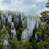 Die "Pinnacles" (Steinsäulen) im Gunung Mulu Nationalpark