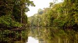 Der Fluss Kinabatangan auf Borneo in der malaysischen Region Sabah