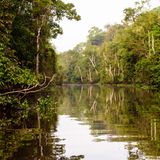 Der Fluss Kinabatangan auf Borneo in der malaysischen Region Sabah