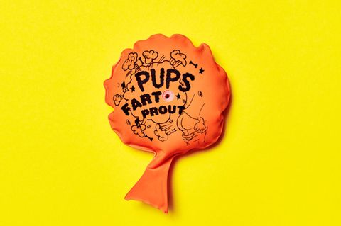 Ein Pups-Kissen auf gelbem Untergrund