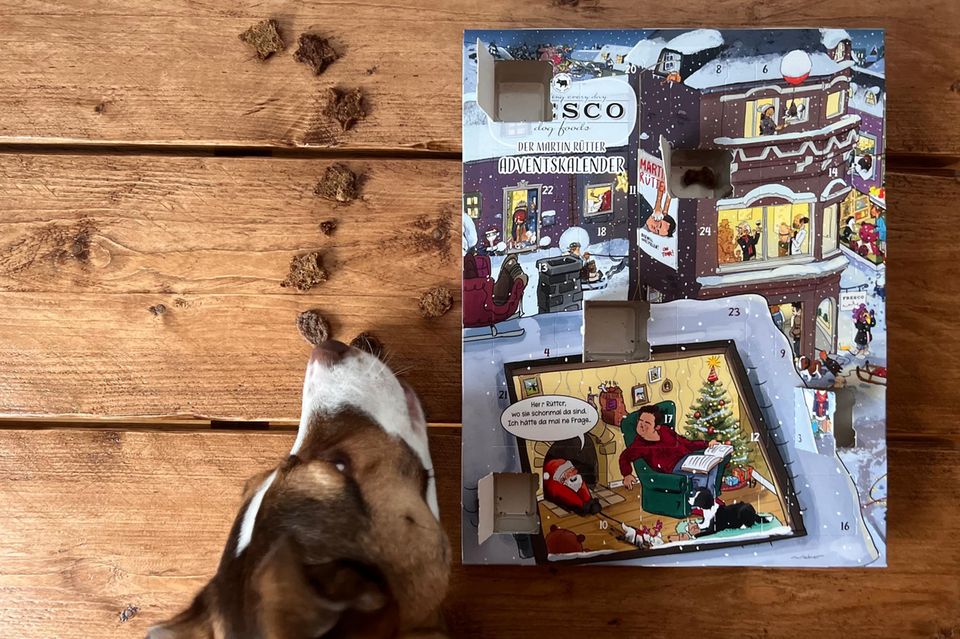 Hunde-Adventskalender
