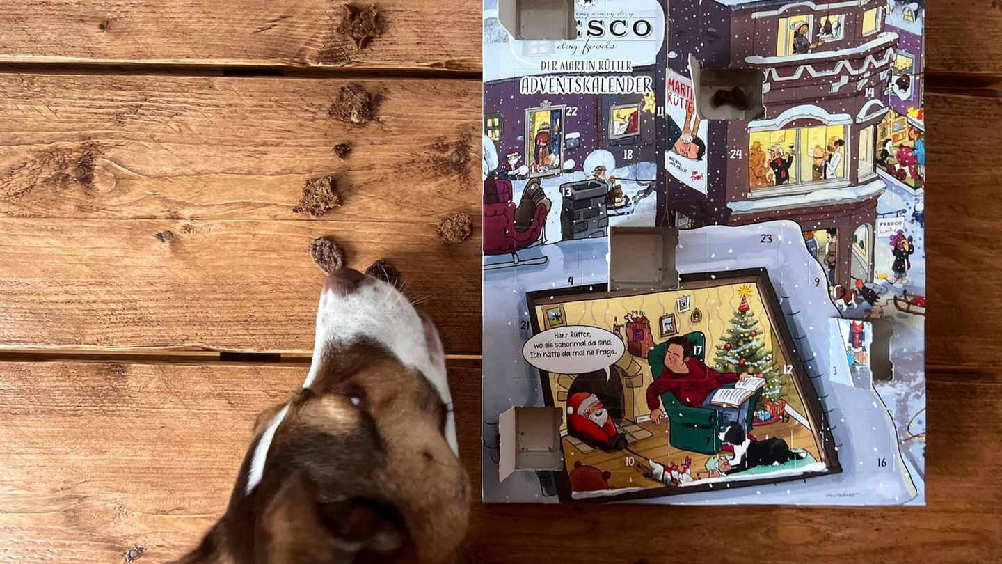 Hunde-Adventskalender