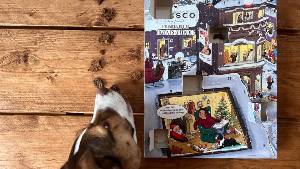 Adventskalender für Hunde