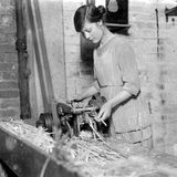 Frau fädelt Walbarten in Schneidemaschine