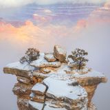 Winterlandschaft am Südrand des Grand Canyon