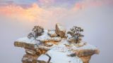 Winterlandschaft am Südrand des Grand Canyon