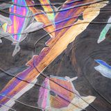 Eisige, abstrakte Szene im Yosemite Nationalpark