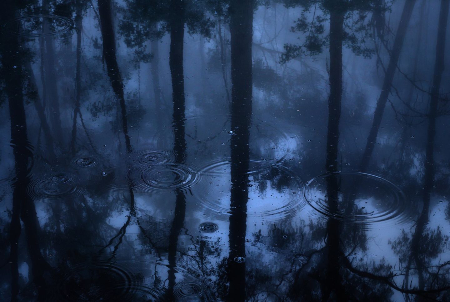 Regentropfen auf einer Wasseroberfläche im Wald