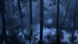 Regentropfen auf einer Wasseroberfläche im Wald