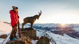 Mann neben Steinbock auf einem Berg