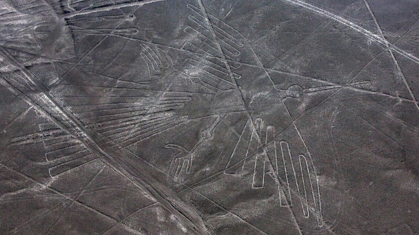 Luftbild eines in den Boden gescharrten Kolibris in Peru