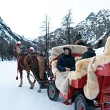 Pferdekutsche im Schnee