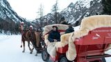 Pferdekutsche im Schnee