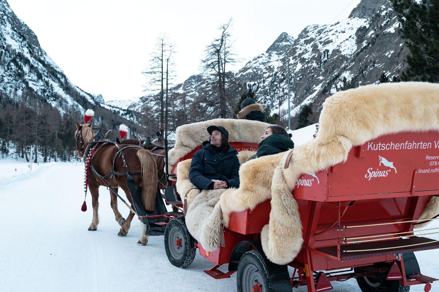 Pferdekutsche im Schnee