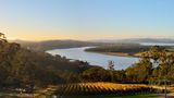 Panoramabild eines Weinhangs