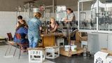 Mitarbeiterinnen eines Weinguts etikettieren Weinflaschen