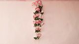 Plastikblumenschmuck im Rathaus von Criuleni