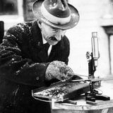 Wilson Bentley mit Hut, Mantel und Handschuhen draußen beim Schneeflocken-Fotografieren