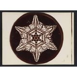 Schwarz-Weiß-Aufnahme eines Schneekristalls