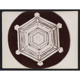 Schwarz-Weiß-Foto eines Schneekristalls