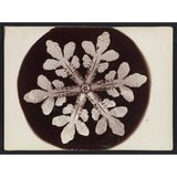 Foto eines Schneekristalls