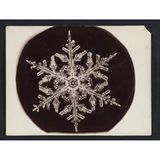 Foto eines filigranen Schneekristalls