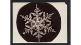 Foto eines filigranen Schneekristalls