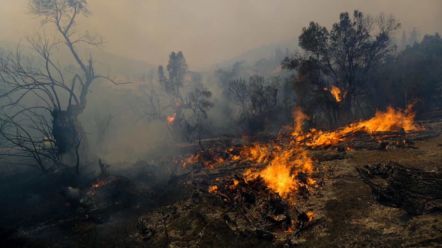 Klimawandel-Trauriger-Rekord-2023-war-eines-der-schlimmsten-Waldbrandjahre-in-Europa