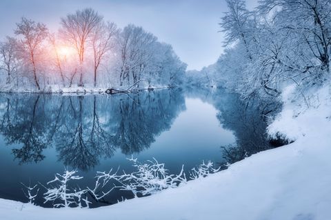 Wenn die Temperaturen fallen, drosseln viele Wassertiere ihren Stoffwechsel, fallen in eine Kältestarre. Andere dagegen nutzen den Winter, um auf die Jagd zu gehen