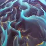 Der Fotograf Lazar Ovidiu nannte seine Aufnahme "Venom".