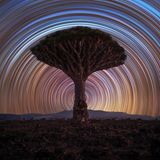 "Drachenpfade" hat Benjamin Barakat diese Langzeitbelichtung genannt.