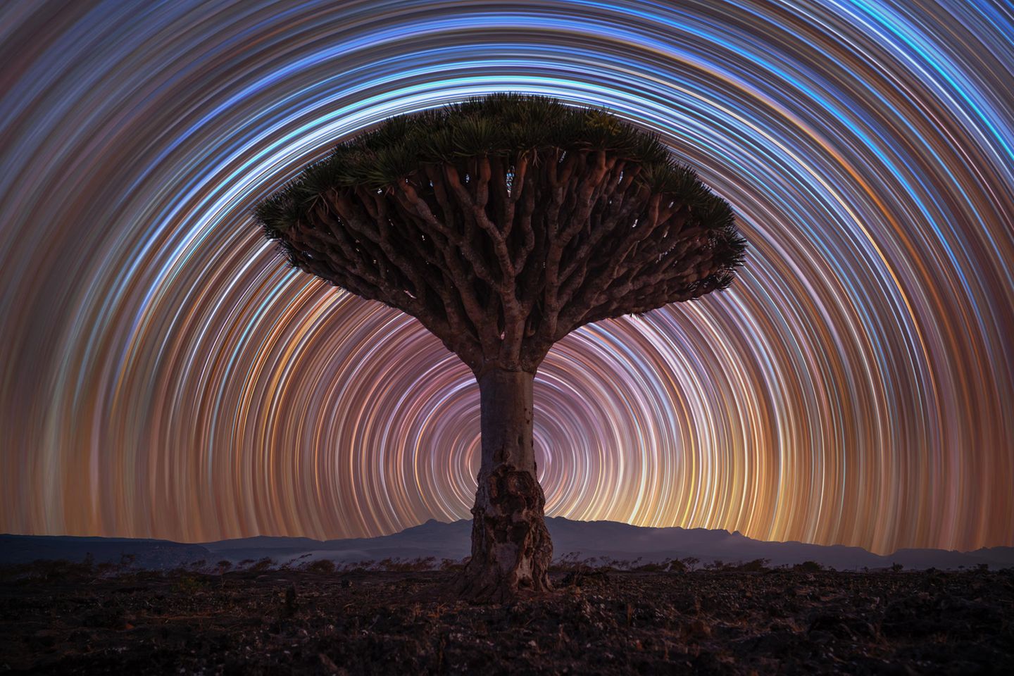 "Drachenpfade" hat Benjamin Barakat diese Langzeitbelichtung genannt.