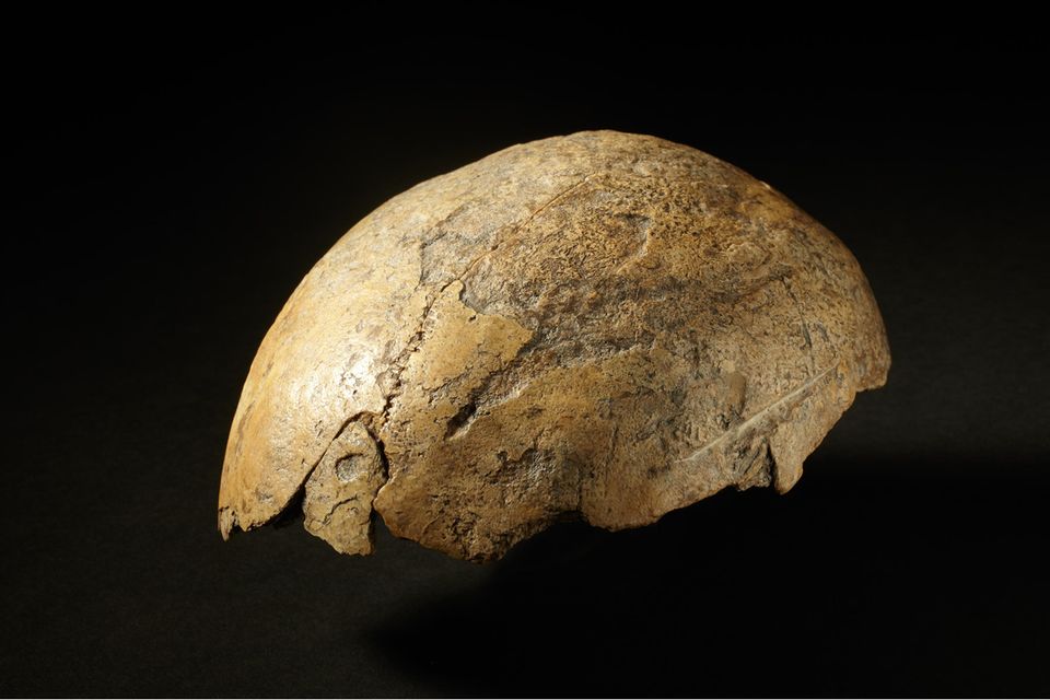 Bereits im Oktober wurde einem Archäologen der Generaldirektion Kulturelles Erbe in Rheinland-Pfalz vorgeworfen, 21 Schädel bewusst falsch datiert zu haben. Nun sind 18 weitere Vorwürfe hinzugekommen. Ein als "Neandertaler von Ochtendung" bekannt gewordenes Schädelfragment stamme demnach nicht aus der Altsteinzeit, sondern aus dem Frühmittelalter. Große Zweifel bestünden auch, ob die Funde auf dem angeblichen "Schlachtfeld von Riol" tatsächlich einen Kampf im ersten Jahrhundert n. Chr. belegen. Externe Fachleute sollen die Funde nun neu untersuchen.  Ähnliche Skandale haben die Paläontologie und Archäologie schon öfters erschüttert. Mal entstanden die Fälschungen aus Geldgier oder Ruhmsucht, mal waren sie das Ergebnis von Unfähigkeit. 1.5004