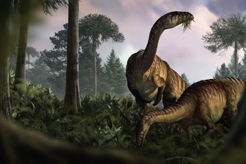 Die pflanzenfressenden Sauropodomorpha verspeisten im frühjurassischen Ökosystem neben potenziell giftigen Farnen auch Holzkohle. Letztere könnte entgiftend gewirkt haben 2