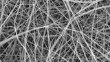 Aus der Stärke in Weizenmehl. Die dünnsten Exemplare durchmessen lediglich 372 Nanometer, ein Zweihundertstel eines menschlichen Haares. Das macht sie zu den dünnsten Spaghetti der Welt. Al dente wären sie in Sekundenbruchteilen. Die Spezialnudeln sind jedoch nicht für den Kochtopf bestimmt, sondern für medizinische Anwendungen. Die Chemiker*innen Beatrice Britton und Adam Clancy vom University College London zogen sie mithilfe elektrischer Felder aus einer Nadelspitze und verfilzten sie zu hauchdünnen, porösen Matten. Die Nanopasta ist kostengünstig, umweltfreundlich und im Körper abbaubar. Mit ihr ließen sich möglicherweise Wunden abdecken oder Medikamente im Körper deponieren. Faserknäuel wie jenes, das hier unter dem Rasterelektronenmikroskop zu sehen ist, könnten sogar ein Gerüst bilden, in dem sich nach Knochenbrüchen neue Zellen ansiedeln.   KW 48