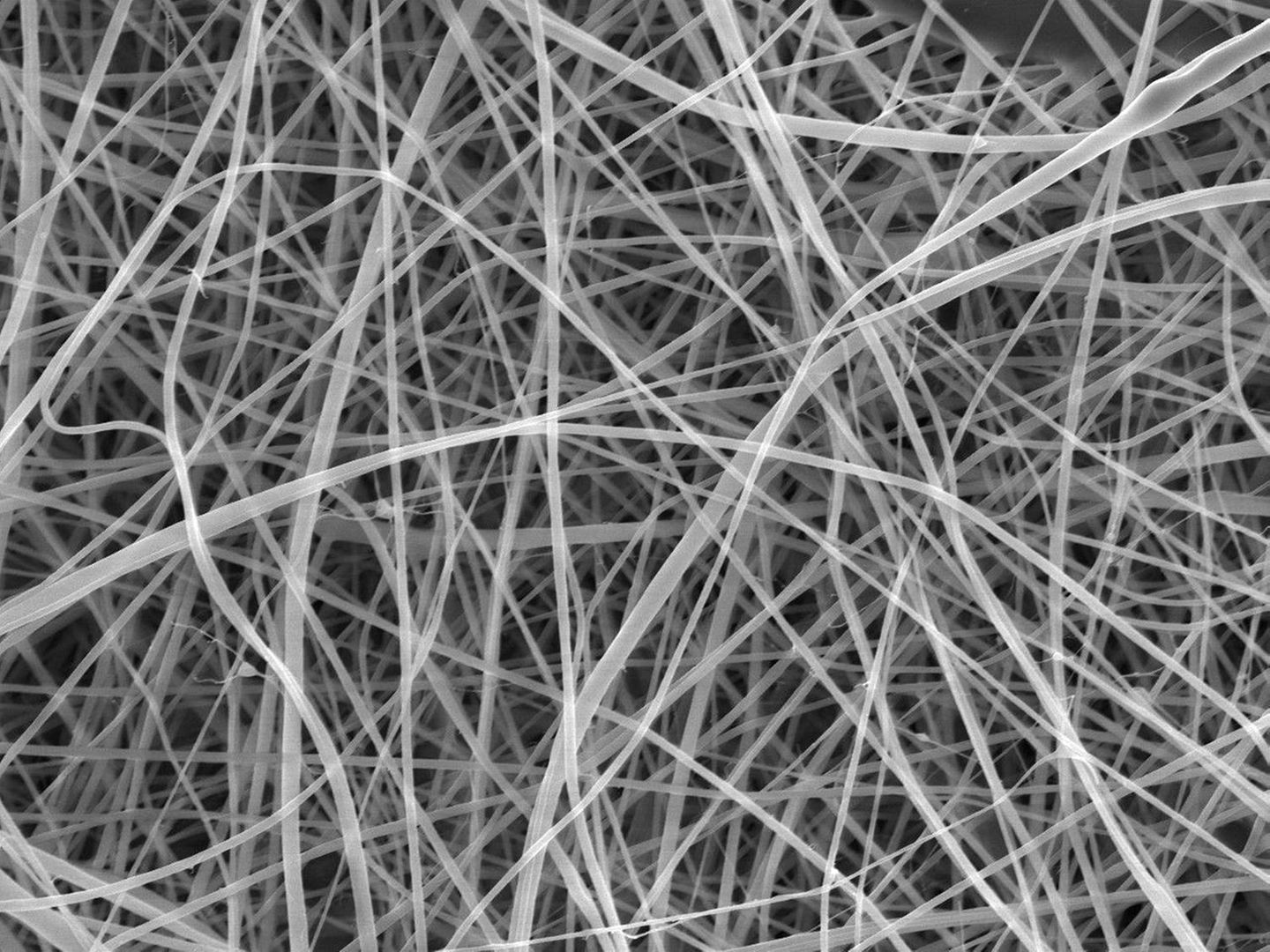 Aus der Stärke in Weizenmehl. Die dünnsten Exemplare durchmessen lediglich 372 Nanometer, ein Zweihundertstel eines menschlichen Haares. Das macht sie zu den dünnsten Spaghetti der Welt. Al dente wären sie in Sekundenbruchteilen. Die Spezialnudeln sind jedoch nicht für den Kochtopf bestimmt, sondern für medizinische Anwendungen. Die Chemiker*innen Beatrice Britton und Adam Clancy vom University College London zogen sie mithilfe elektrischer Felder aus einer Nadelspitze und verfilzten sie zu hauchdünnen, porösen Matten. Die Nanopasta ist kostengünstig, umweltfreundlich und im Körper abbaubar. Mit ihr ließen sich möglicherweise Wunden abdecken oder Medikamente im Körper deponieren. Faserknäuel wie jenes, das hier unter dem Rasterelektronenmikroskop zu sehen ist, könnten sogar ein Gerüst bilden, in dem sich nach Knochenbrüchen neue Zellen ansiedeln.   KW 48